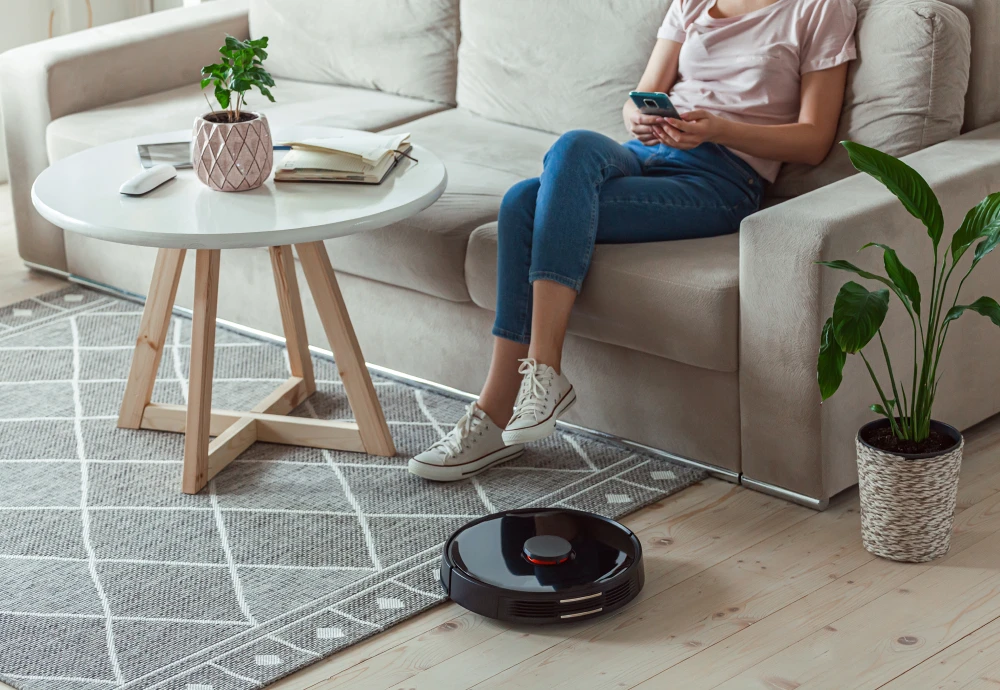 robot vacuum cleaner for hardwood floors